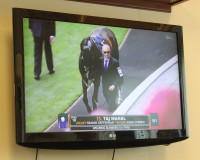 2017 Ladies Day. Of course, there is horse racing too!